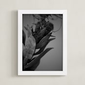 "veins" - Art Print in Black and white by Danielle LaRose - Framed