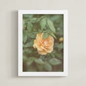 "Garden Flowers No. 3" - Art Print in Summer Peach by Lynann Colligan - Framed