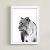 "Lioness Charcoal Drawing" - Art Print in Charcoal by Becky Nimoy - Framed