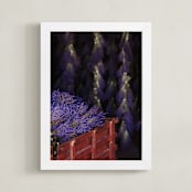 "Swooning Lavendar " - Art Print in Lavender Purple by Hollie Renner Photography - Framed