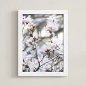 "Magnolia Blossoms" - Art Print in Sage by Jayna B - Framed