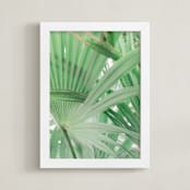 "Yucatan I" - Art Print in Tropical Green by Lindsay Ferraris Photography - Framed