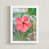 "Yucatan VIII" - Art Print in Hibiscus by Lindsay Ferraris Photography - Framed