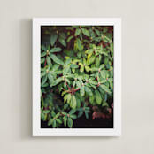"Northwest Greens" - Art Print in Avocado Green by CedarandGrey - Framed