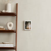 "Hold On" - Art Print in ivy by Janet Cruz - In a Room