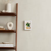 "Tropical Still Life" - Art Print in Hunter Green by Lindsay Megahed - In a Room