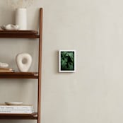 "The Jungle Room" - Art Print in Emerald Green by Owl and Toad - In a Room