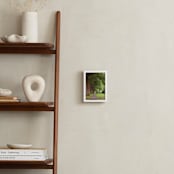 "The Street I Live On II" - Art Print in Foggy Green by Erin Niehenke - In a Room