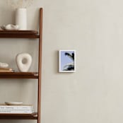 "Palm I" - Art Print in Sky Blue by Annie Montgomery - In a Room