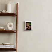 "The Jungle Room - Part 2" - Art Print in Ruby by Owl and Toad - In a Room