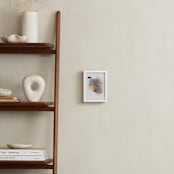 "California Quail" - Art Print in Neutral Grey by Christa Kimble - In a Room