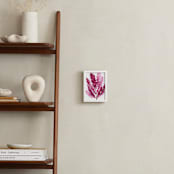 "Sea Botanicals I" - Art Print in Rosewood by Luz Alliati - In a Room