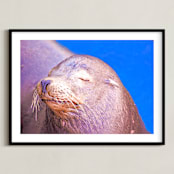 "Napping" - Art Print in Grayish  by NSMARK - Framed