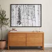 "Colorado Winter Pine" - Art Print in Black and White by Jake Belvin - In a Room