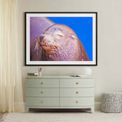 "Napping" - Art Print in Grayish  by NSMARK - In a Room