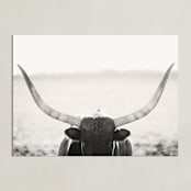 "Staredown" - Art Print in White by Amy Carroll - Unframed