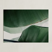 "leaf & light 4" - Art Print in White by Alicia Abla - Unframed
