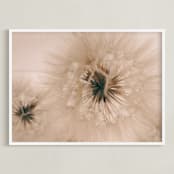 "Dandelion III" - Art Print in Soft Beige by Rasa Puzinaite - Framed
