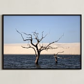"Life cycle 1" - Art Print in Blue by Eliane Lamb - Framed