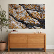 "Mediterranean Lichen" - Art Print in curcuma by Christiana Petschallies - In a Room