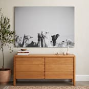 "Leader of the Pack" - Art Print in Black and White by Heather Marie - In a Room