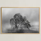 "in the rain" - Art Print in Stormy by Crystal Lynn Collins - Framed