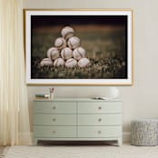 "For The Big Game 1" - Art Print in Field by Janet Cruz - In a Room