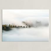 "Revealing II" - Art Print in Seaweed Green by Tania Medeiros - Unframed