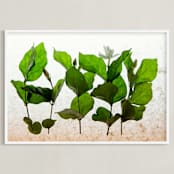 "lush green" - Art Print in lush green by Qing Ji - Framed