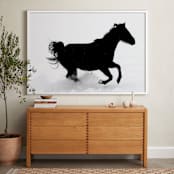 "Free To Be" - Art Print in Black and White by Leslie Le Coq - In a Room