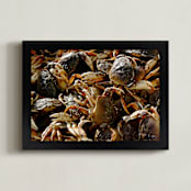 "Crab Catcher" - Art Print in Crabshell Brown by AJD - Framed