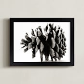 "Pine Cone Black & White" - Art Print in Black and white by Alexis Arnold - Framed