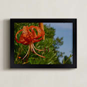 "Springtime Blooming" - Art Print in Orange Blossom by AJD - Framed