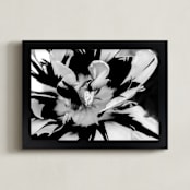 "Zebra Petals" - Art Print in Black and White by Monica Janes Fine Art - Framed