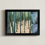 "Bamboo Garden" - Art Print in Bamboo by nathan glynn - Framed