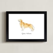 "Golden Retriever" - Art Print in Golden by Megan Kelso - Framed