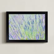 "Can You Smell The Lavender?" - Art Print in Lavender Pond Farm by Andy Mars - Framed