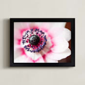 "Blushing Anemone" - Art Print in Blushing by Ilze Lucero - Framed