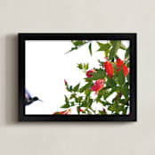 "A hummingbird in action" - Art Print in chalet green by Celia Maria - Framed