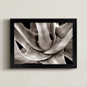 "Garden In Santaluz 01" - Art Print in sepia tone by GLEAUX Art Photo Design - Framed