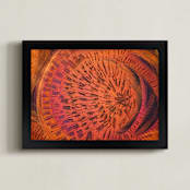 "Hula" - Art Print in Crazy Coral by Stacy Kron - Framed
