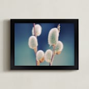 "Catkins" - Art Print in Dear teal by Johanna Phillips Huuva - Framed