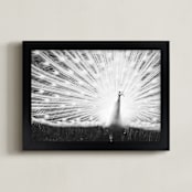 "Strut" - Art Print in Black and White by Sara Heilwagen - Framed