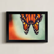 "Monarch Study #6" - Art Print in Monarch Orange by Stacy Kron - Framed
