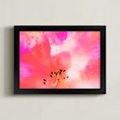 "Colors of a flower " - Art Print in rosy pink by NSMARK - Framed