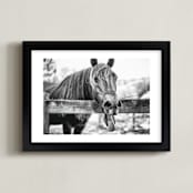 "SILLY HORSE" - Art Print in BLACK, WHITE by Zanne Bedore - Framed