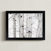 "Snowy Birch" - Art Print in Snow by Melanie Severin - Framed