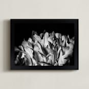 "Top of the Petals" - Art Print in black and white by Alexis Arnold - Framed