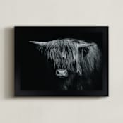 "Majestic Gaze" - Art Print in Black and White by Stephanie Brown - Framed
