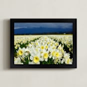 "Cheerful Daffs" - Art Print in Stormy yellow by Sea and Sky - Framed